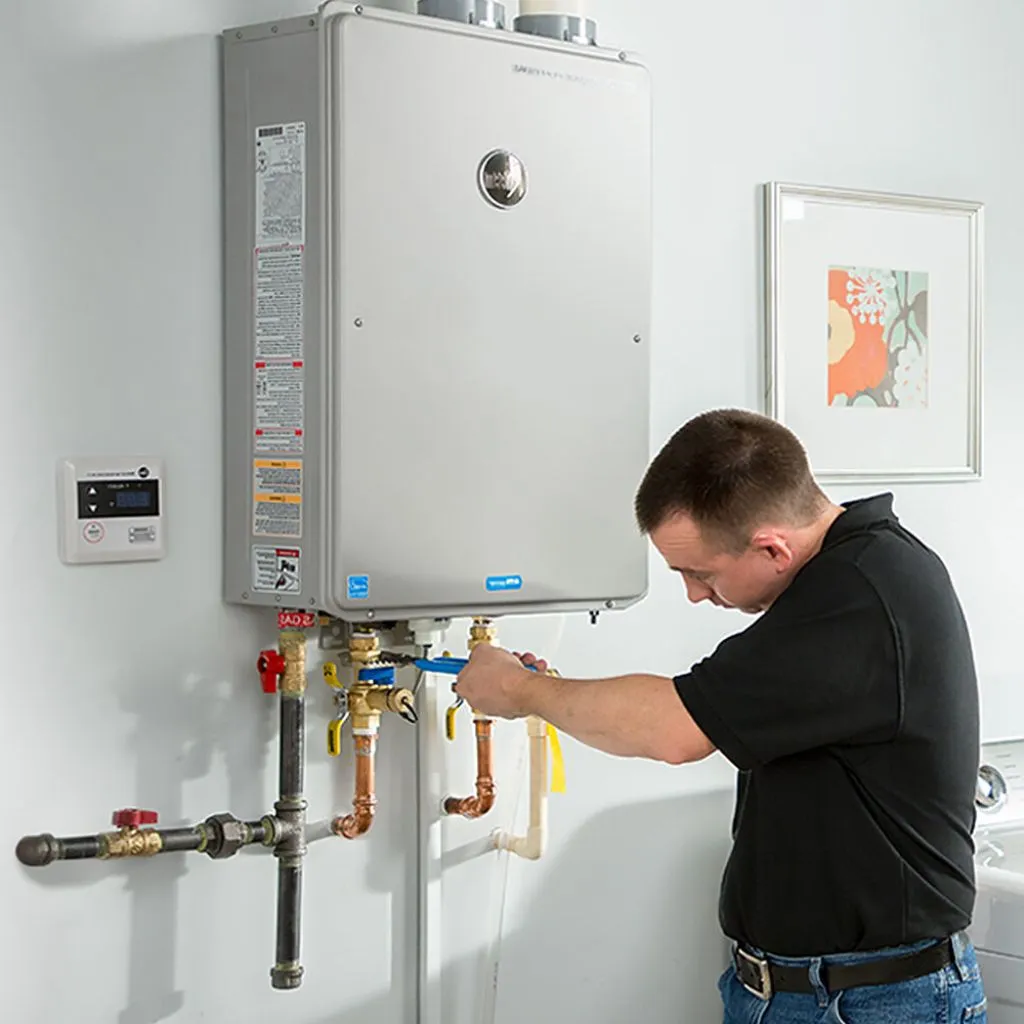 tankless water heater repair in Vanduser, MO